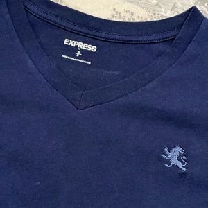 Express mens v neck small